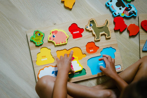 2 Pack of Wood Puzzles - Shapes & Animals Learning Puzzles